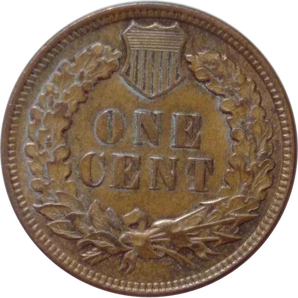 1906-Indian-Head-Cent-#2---Verdi-Care-Success!